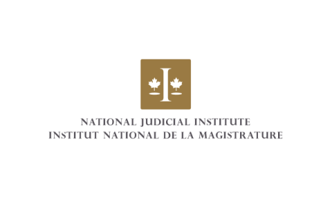 National judicial institute